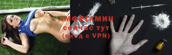 прущие грибы Краснотурьинск