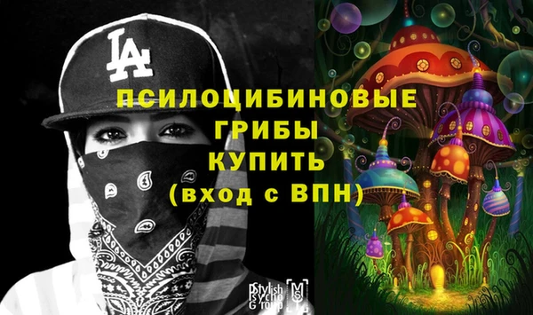 прущие грибы Краснотурьинск