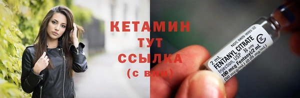 прущие грибы Краснотурьинск